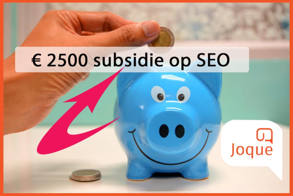SEO subsidie 2022, SEO specialist Limburg, SEO scan, zoekwoordenonderzoek, SEO kick start website